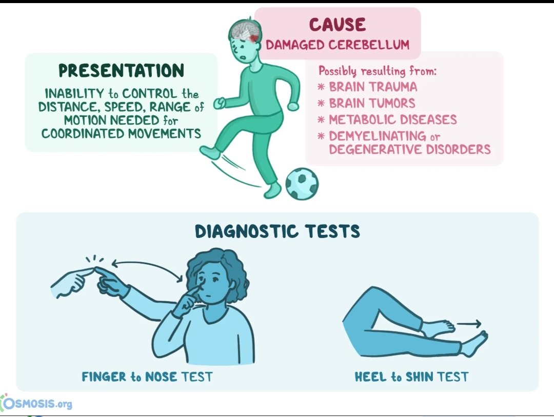 Hyperemesis Gravidarum - Interactive case study | Clinical Odyssey by  Medical Joyworks, LLC