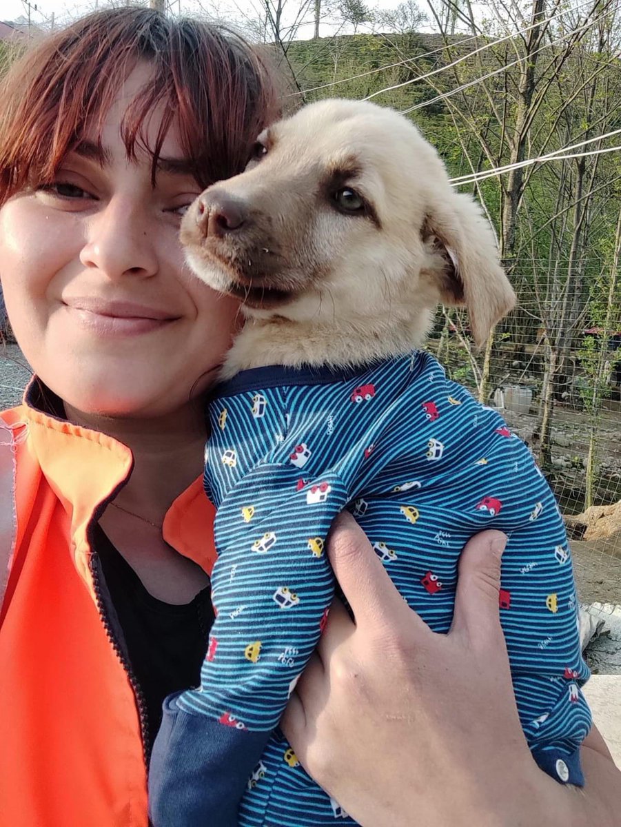 Rehabilitasyon ve Yaşam Merkezinde 190 canımızın ihtiyaçlarını karşılamaktayız. Merkezimizde 178 kısırlaştırma, 97 sahiplendirme, 203 klinik müdahale gerçekleştirilmiştir.

Sahiplenerek,bağış ve mama desteğinde bulunarak canlarımıza can olabilirsiniz.
#4EkimHayvanlarıKorumaGünü🐶