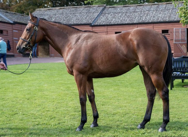 Nancy Sexton tweet media