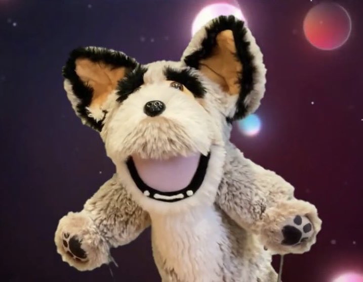 All About Dogs tweet media