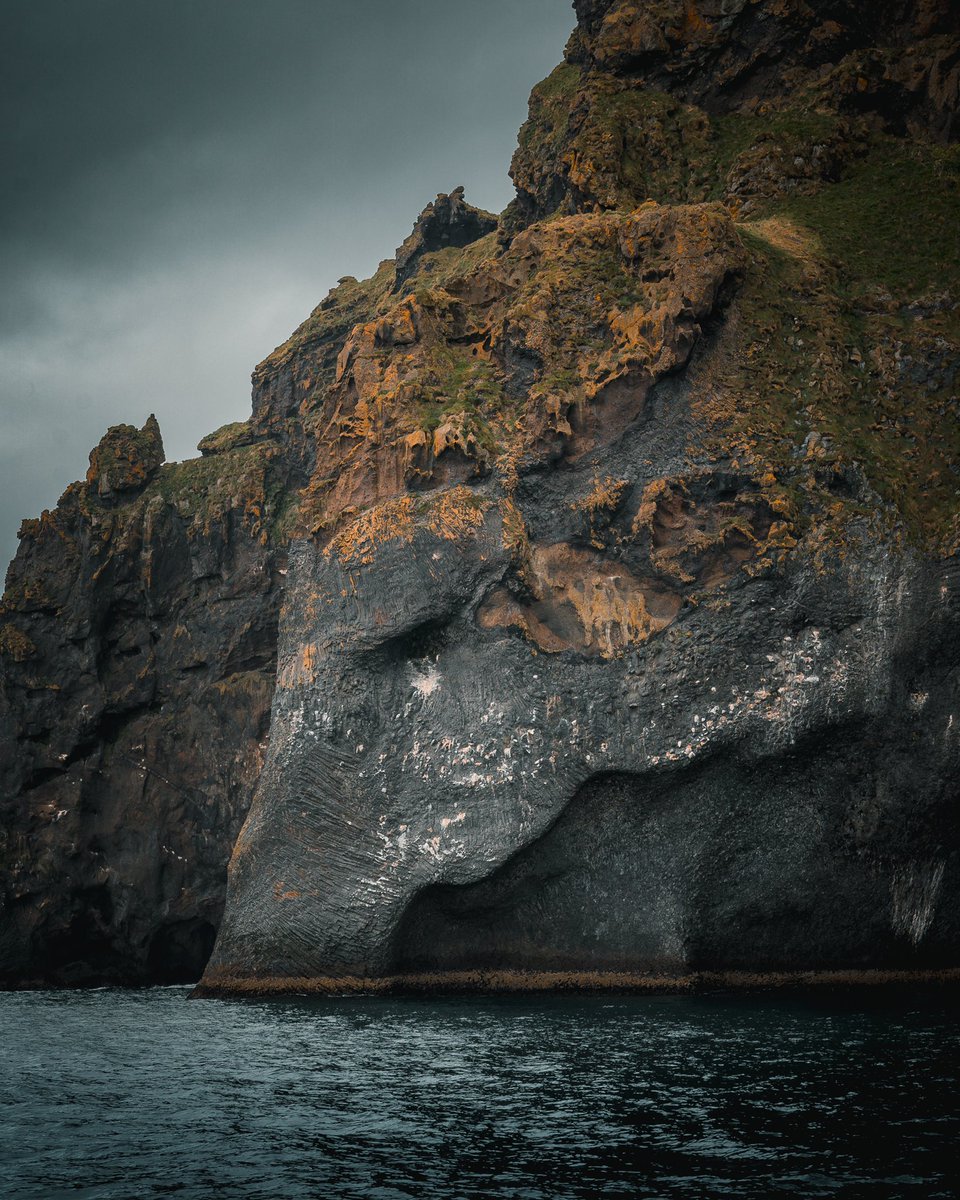 gonewithshaun tweet media