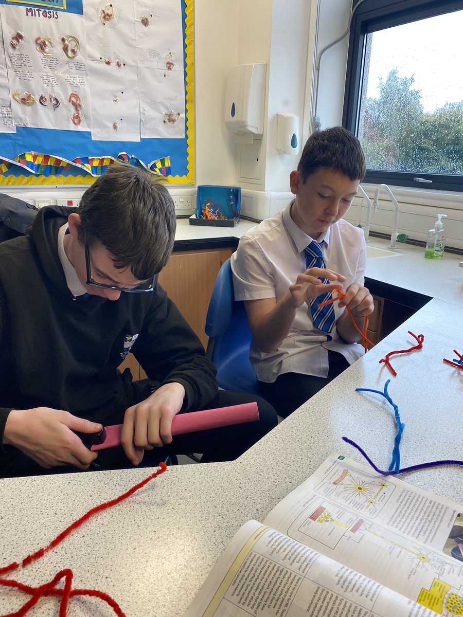 KHS-Biology tweet media