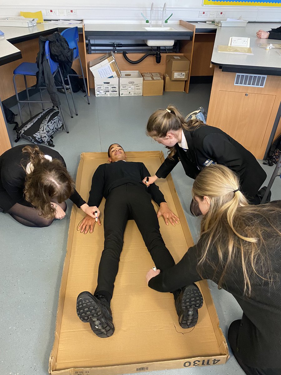 KHS-Biology tweet media