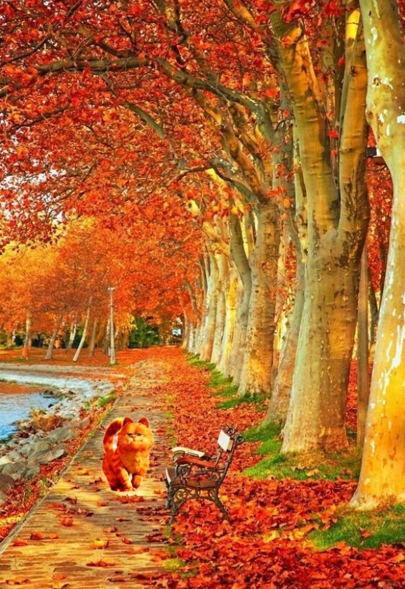 Блог Кота Моти.: новый дён пришол catmotya.blogspot.com/2022/10/blog-p…