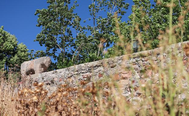 LIFEViaPlata's tweet photo. 🌿Seguimos disfrutando de las fotografías premiadas en el II Concurso de fotografía @SaviaSalamanca - #LIFEVíaDeLaPlata
📸Hoy os enseñamos el primer premio de la categoría infantil
🏅“Piedra y naturaleza”, de Darío García Masa

➕Info: https://t.co/6fQksq0MEq https://t.co/GBr5DLlvmM
