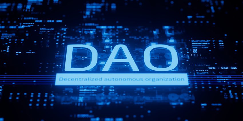 Let’s get this DAO started!!! Join us in VC at 5pm CST today in discord to discuss the plan!!