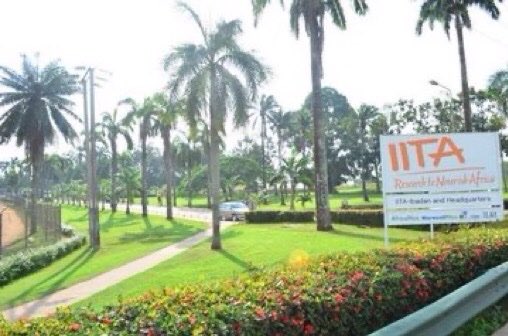 Are you looking for a nice resort to spend your weekend or vacation in ibadan? <a href="/IITA_CGIAR/">IITA</a> is one of the best place to visit. 
Book us today let give you the best packages. Awww