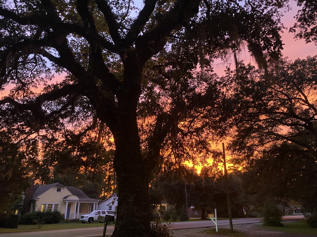 Little by little, this place is growing on me. Enjoy my 200yr old oak tree in my front yard. #NCliving #spookyseason