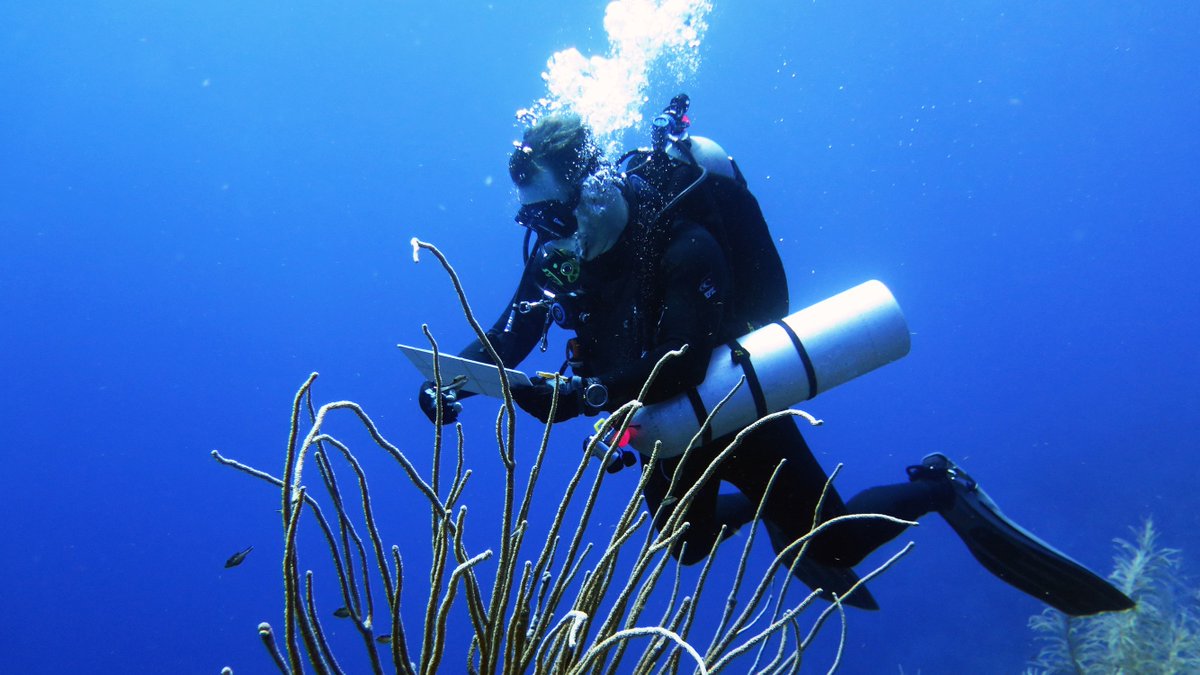Interested in requesting a speaker for your group or event? the #FAUHarborBranch Speakers Bureau program allows community organizations to request presentations from the faculty, staff and graduate students.

Request a speaker and check out various topics: bit.ly/3Rt4jl7
