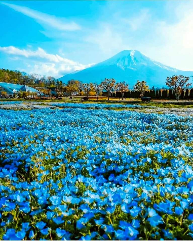 Mount Fuji, Japan 🇯🇵