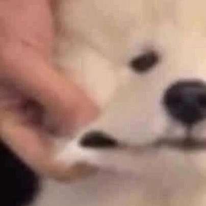 แก้มชีสยืดดด