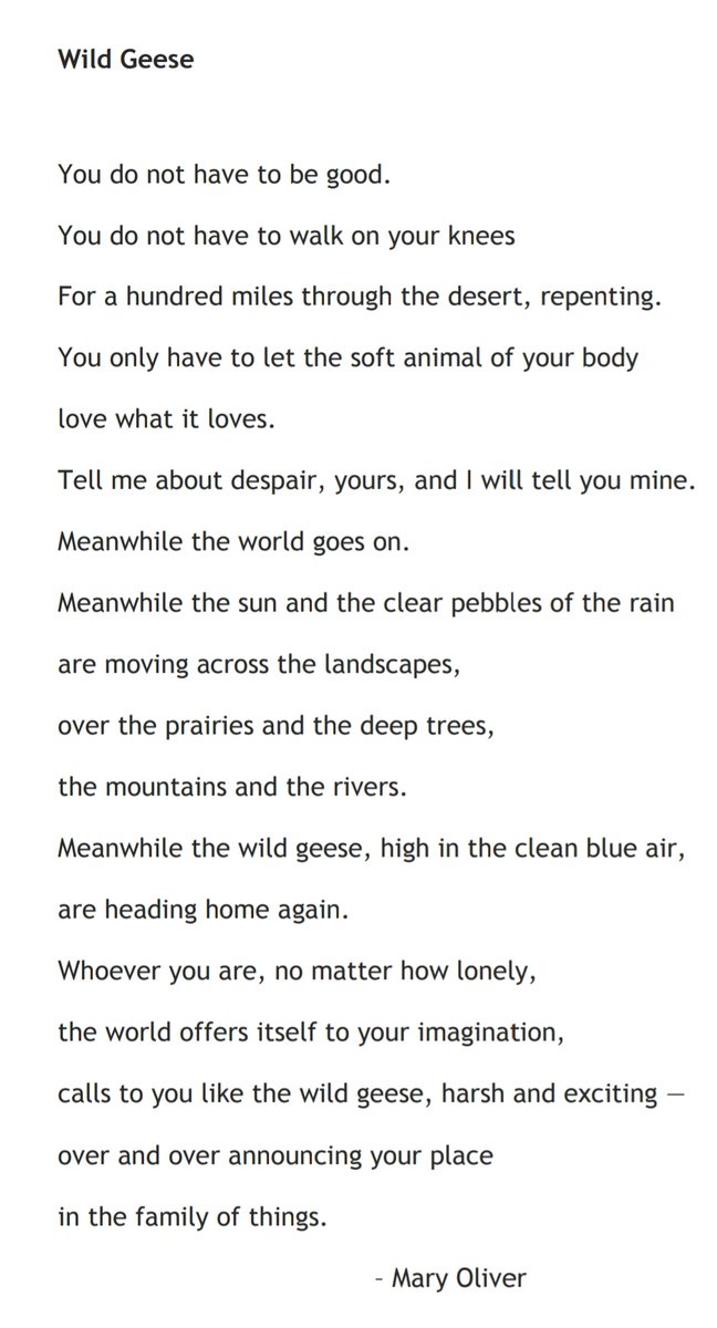 TheMelaniac's tweet photo. It is a time of transition, a time of shifting perspectives, heralded by the departing geese https://t.co/DgTvXueUax