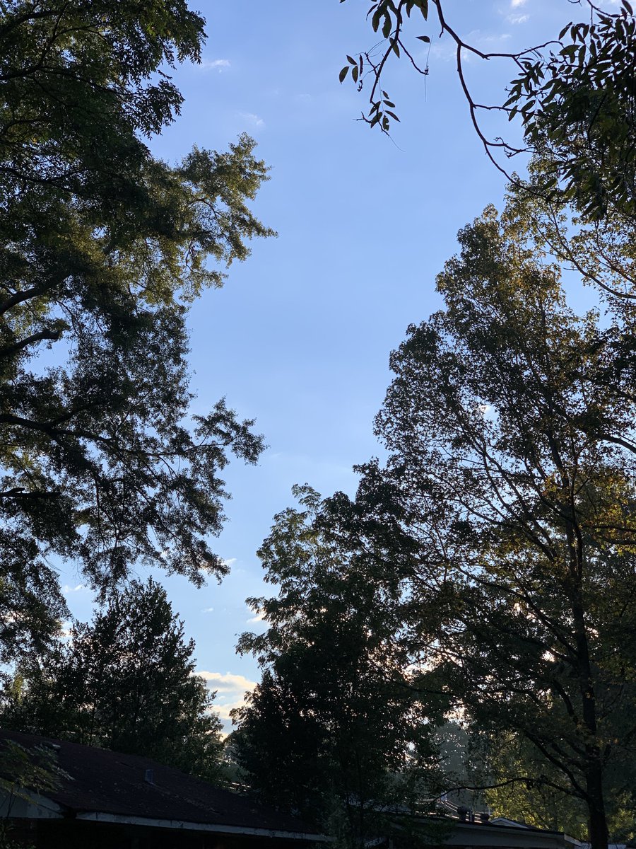 okamoto_sandra's tweet photo. Good morning, Columbus! #ColumbusGA #mydailyphoto #10/04/2022 #2022project #afewclouds #sunrisingthroughthetrees #chilly #abithumid #tinybreeze #birdswakingup #neighborsdogsbarking https://t.co/OEVm0ljnxx