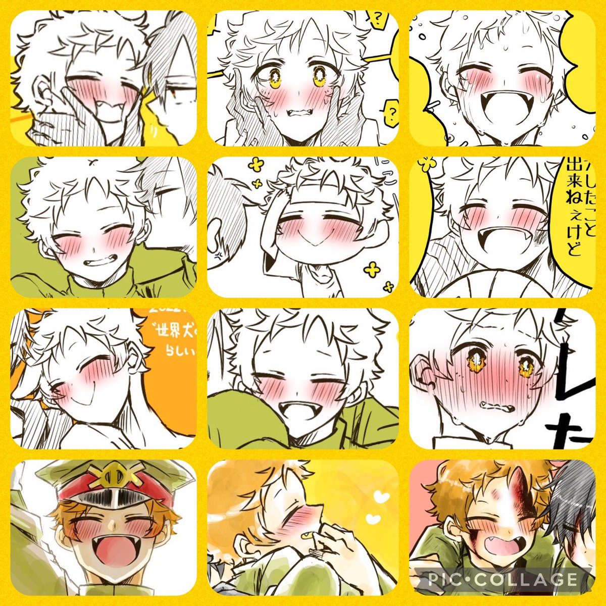 今日は天使の日👼ということで
我らが天使平腹ちゃんの最近のベストショットをあげとく 