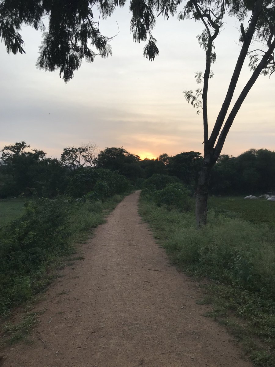 MyFeudalSelf's tweet photo. Sunset, a lone Kingfisher, and an egret(?). #O2Park https://t.co/6H9xZHKcmu