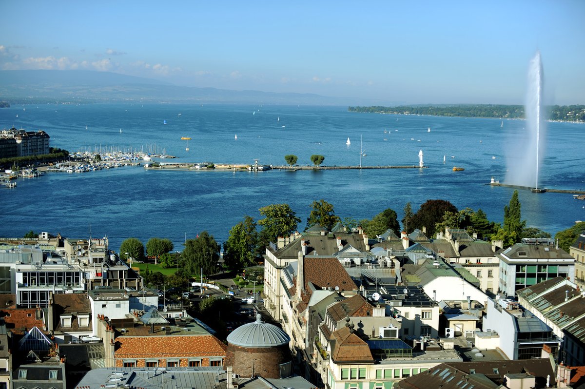 ORCA INFO tweet media