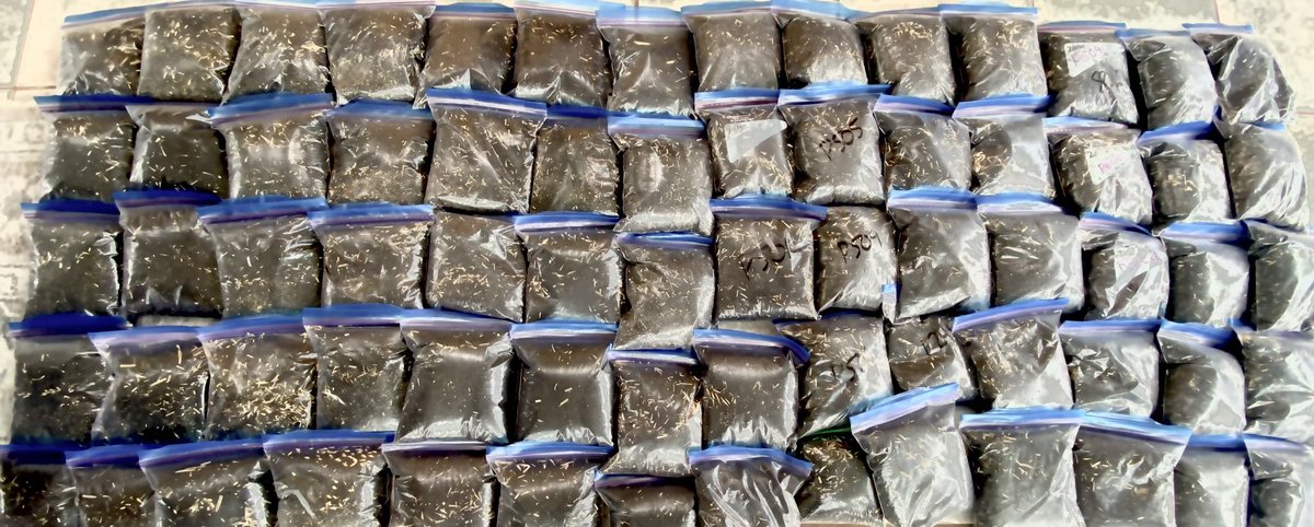 Just a sample 😉 of the weighs we have done for the #yieldhero22 contest and data collection. Looking forward to finishing up plots this upcoming week as our customers wrap up harvest! #harvest22