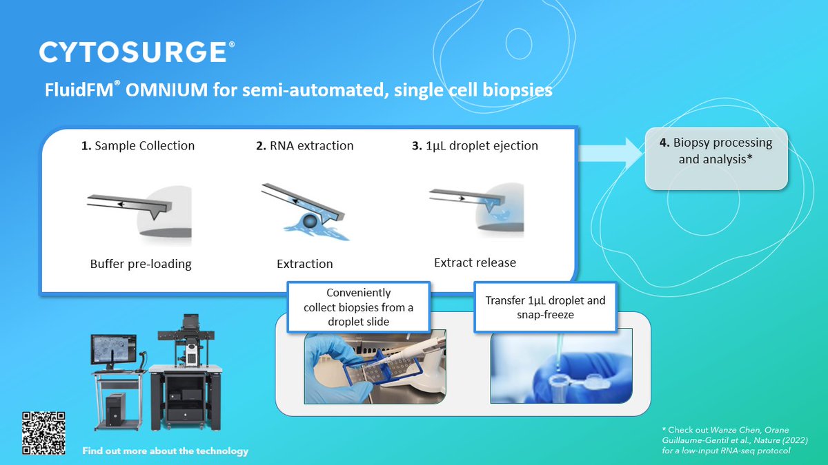 cytosurge's tweet photo. In case you missed it, #liveseq enables temporal single-cell #transcriptomics and keeps cells alive! 
👉🏻 https://t.co/Z5zxXt7eah 

#FluidFM OMNIUM is our solution for semi-automated collection of #singlecell biopsies ready for downstream processing and analysis👇 https://t.co/2XewfzLEc2