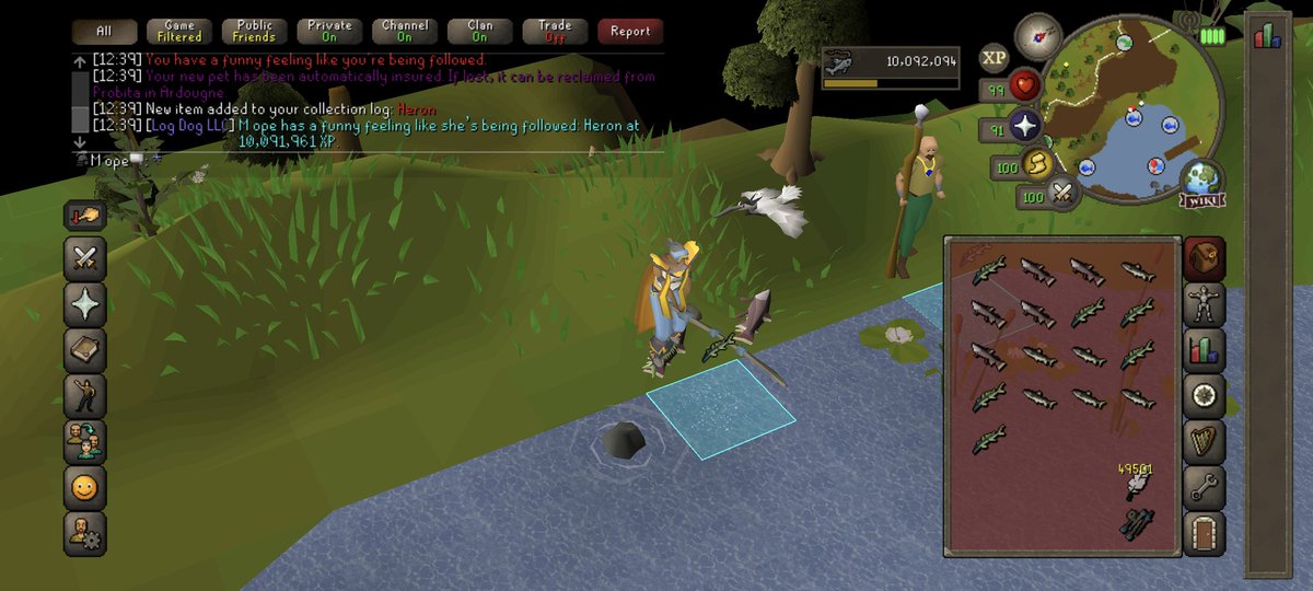 MopeSolo's tweet photo. So, today started off pretty well 🎣 #9/51 #osrs #runescape #ironman #fishing #heron #allpets one day? https://t.co/1aNiIrXd3W