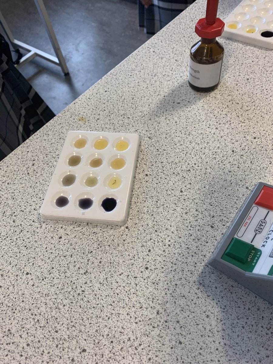 KDScience's tweet image. Year 10 Biologists investigating the effect of temperature on the rate of amylase action #requiredpractical #AQABiology #BiologyGCSE