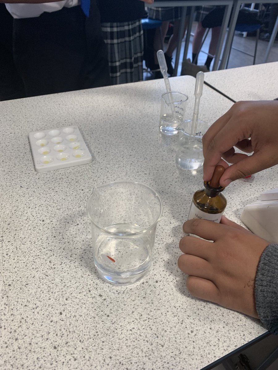 KDScience's tweet image. Year 10 Biologists investigating the effect of temperature on the rate of amylase action #requiredpractical #AQABiology #BiologyGCSE