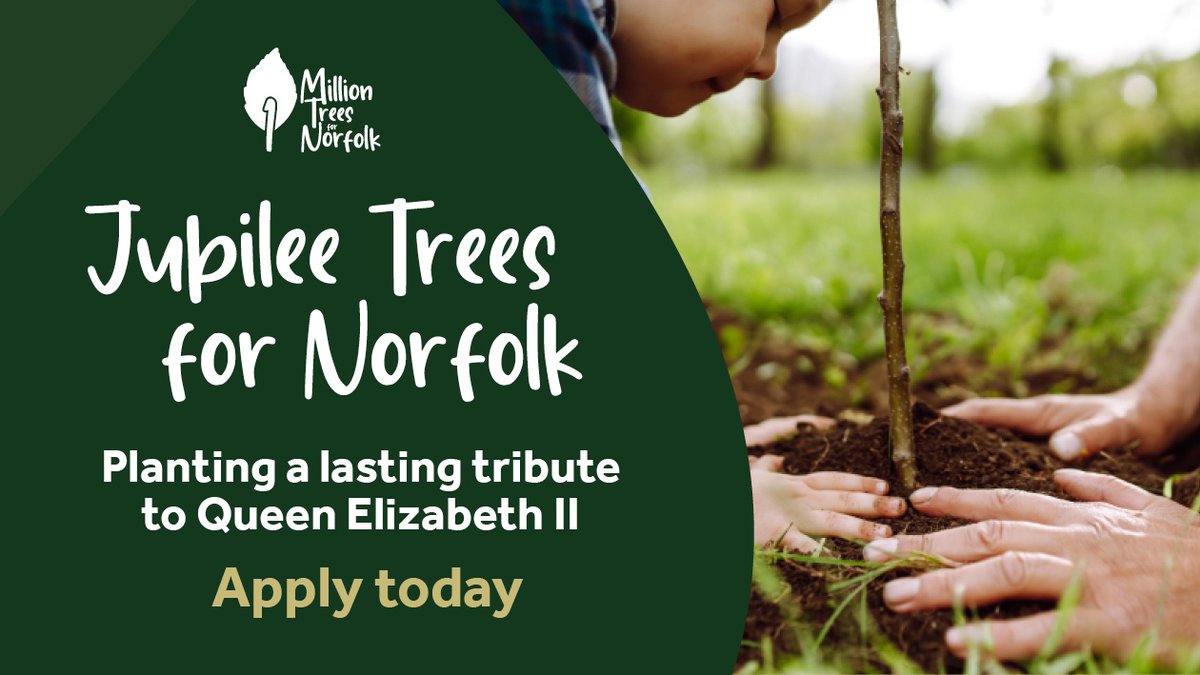 Planting a lasting tribute to Queen Elizabeth II   👑 🌳

We are offering up to 50% subsidy on the cost of tree packs to individuals, schools, community groups and landowners across the county. 🌱

✅ Apply for your pack today: 
orlo.uk/kok0D?

#1MillionTreesNorfolk