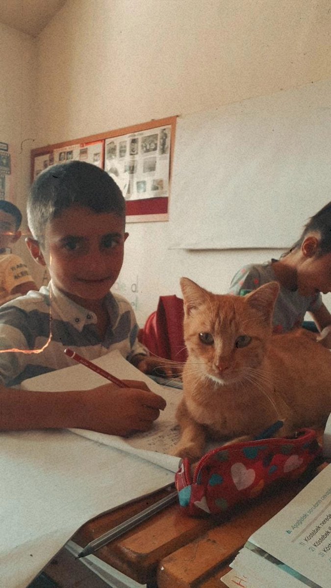 #4EkimHayvanlarıKorumagunu 
<a href="/diclemem21/">Dicle İlçe Milli Eğitim Müdürlüğü</a>