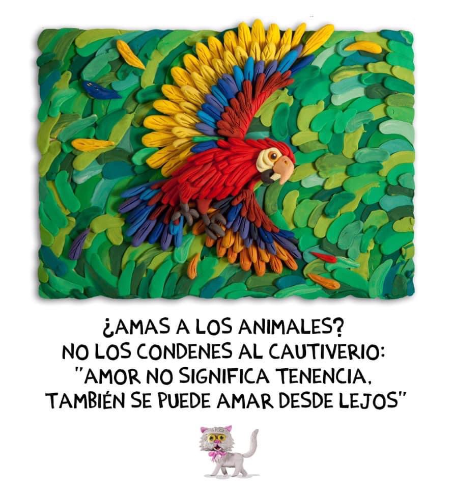 Hoy es el #DiaMundialDeLosAnimales
