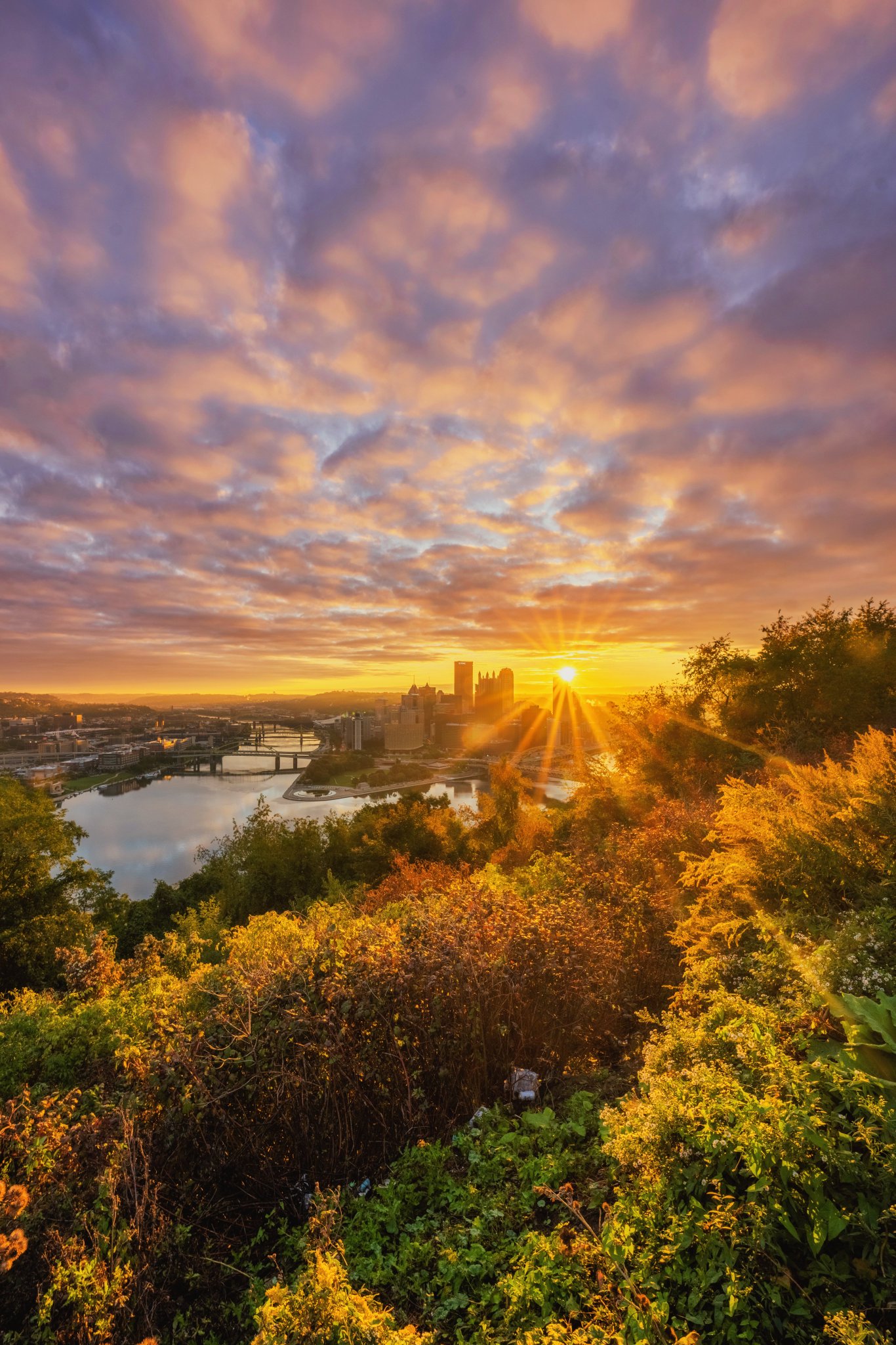 dave-dicello-on-twitter-no-doubt-pittsburgh-is-great-and-all-but