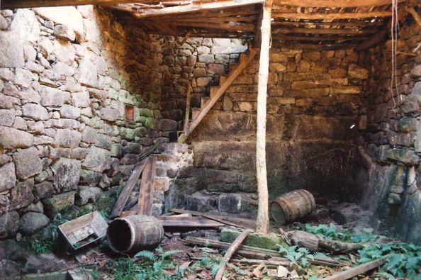 ahpourense's tweet photo. Compartimos unhas imaxes de adegas do #Ribeiro (na confluencia dos vales dos ríos #Miño, #Avia e #Arnoia) publicadas polo #ArquivodeGalicia (Santiago de Compostela). Foron realizadas en 1995 na Cuqueira (#Castrelo de Miño). Toda a información no seu facebook. 😃 https://t.co/m6tMUpnc5r