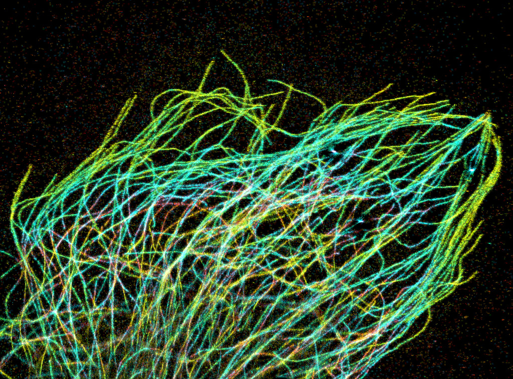 Looking for more UNMC Research Month activities? Join the Advanced Microscopy Core Facility for their Super Resolution Microscopy webinar on Thursday, Oct. 6! 
events.unmc.edu/event/super_re…