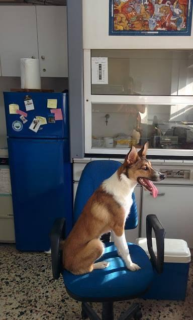 CyanoLab AUTH tweet media