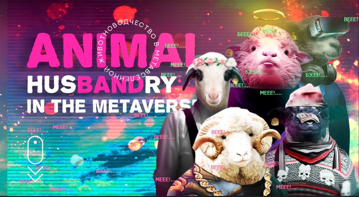 MixReality 🐑 tweet media
