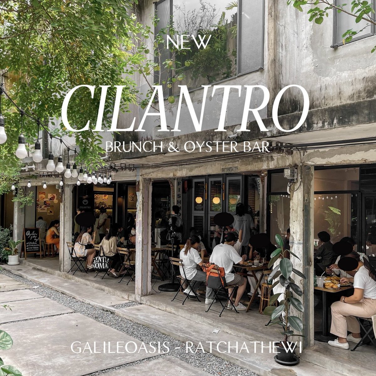 ThaNudChim's tweet photo. ร้าน Brunch เปิดใหม่แถวบรรทัดทองในโครงการ Galile Oasis ชื่อร้าน Cilantro BKK ส่วนตัวชอบโครงการนี้มากน่ารักต้นไม้เยอะ ยิ่งมีร้าน Brunch อร่อยๆคือเลิฟๆ นี่สั่ง Carrot Pancake , Avocado Sourdough และ Pesto Pasta อร่อยนะแบบโอเครเลยเป็นร้านที่ดีชิลๆ นั่งเม้ากรุบ #อร่อยบอกต่อ @aroii https://t.co/SJGUjfibBd