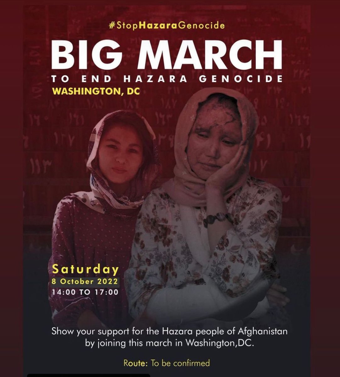 VOICE | Feminist Humanitarians tweet media