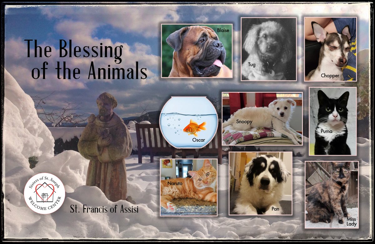 SSJWC's tweet photo. Today is the Feast of Saint Francis of Assisi, the patron saint of animals. The SSJ Welcome Center honors the beloved pets (past and present) of our staff. 

“Hear our humble prayer, O God, for our friends the animals, your creatures.” https://t.co/amX1qEM904