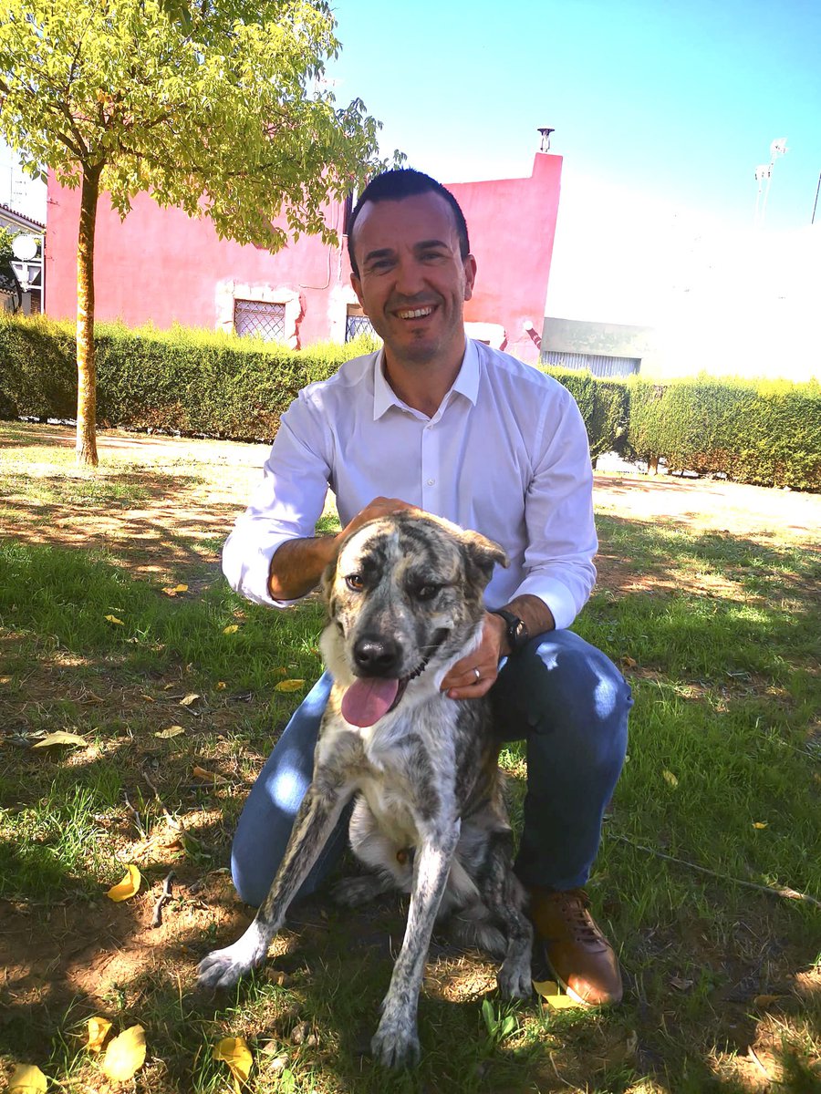 En el Dia Mundial dels #animals hem de recordar la importància de cuidar-los i protegir-los. Mai se poden abandonar 🐶

#diamundialdelosanimales #WorldAnimalDay <a href="/ppcv/">Partido Popular Comunitat Valenciana</a>