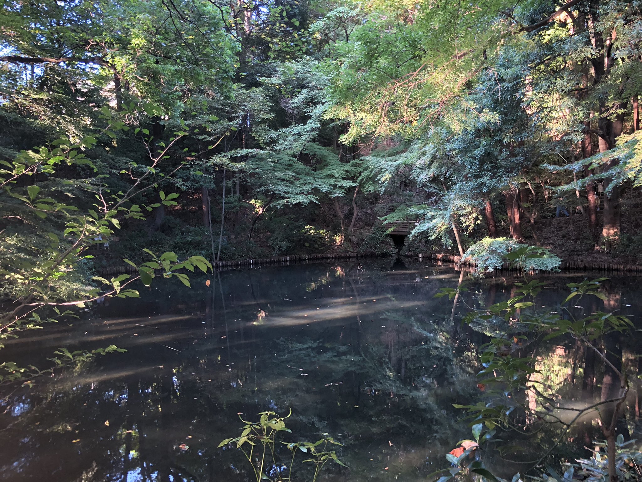 武蔵小金井・東小金井の街情報 on Twitter 