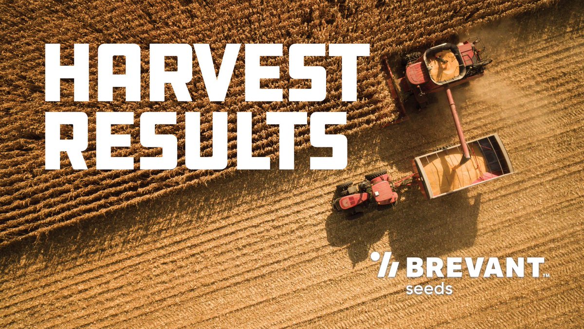 loganvanallen's tweet photo. #harvest2022 is underway &amp; @BrevantseedsUS is off to a great start! 

‼️ B07H01Q wins Milford, IL plot at 269.3 bu/acre 
‼️ B09K10Q 4th at 262.5 bu/acre 

Plot average- 252.2 bu/acre

#whynotretail https://t.co/NuZowzlurW