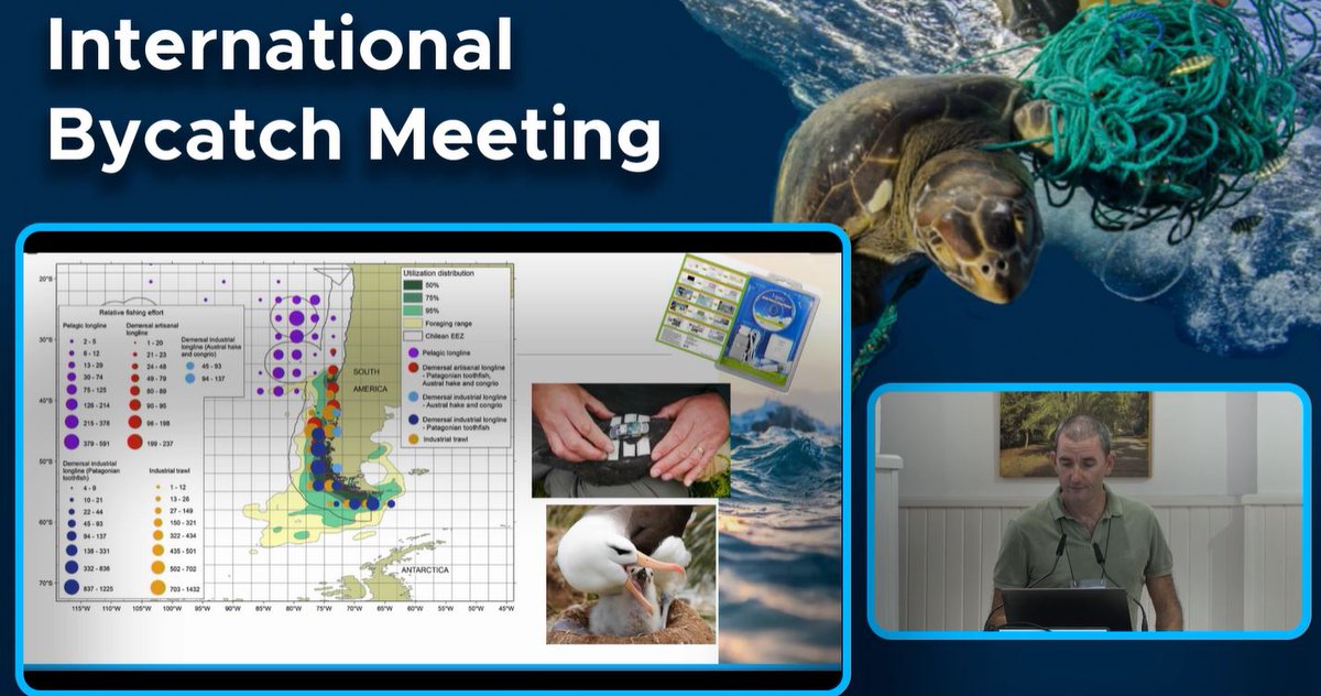 Robin Snape @spot_turtles explains the advances in remote vessel monitoring and implications for #bycatch in #SSF 💻Session about technology and #innovation as a key tool for monitoring bycatch and discards in #marine and coastal areas ▶fb.watch/fXWuTyHFHD/