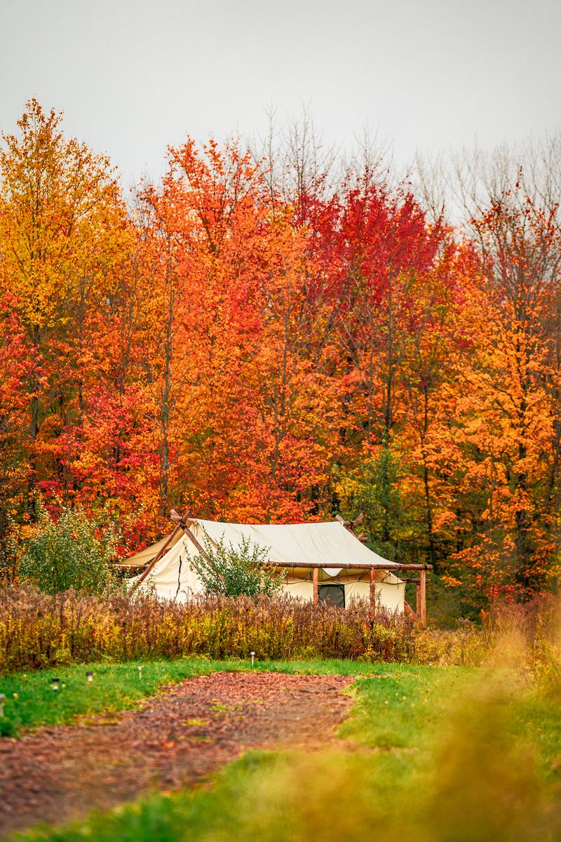 Summer View vs Fall View