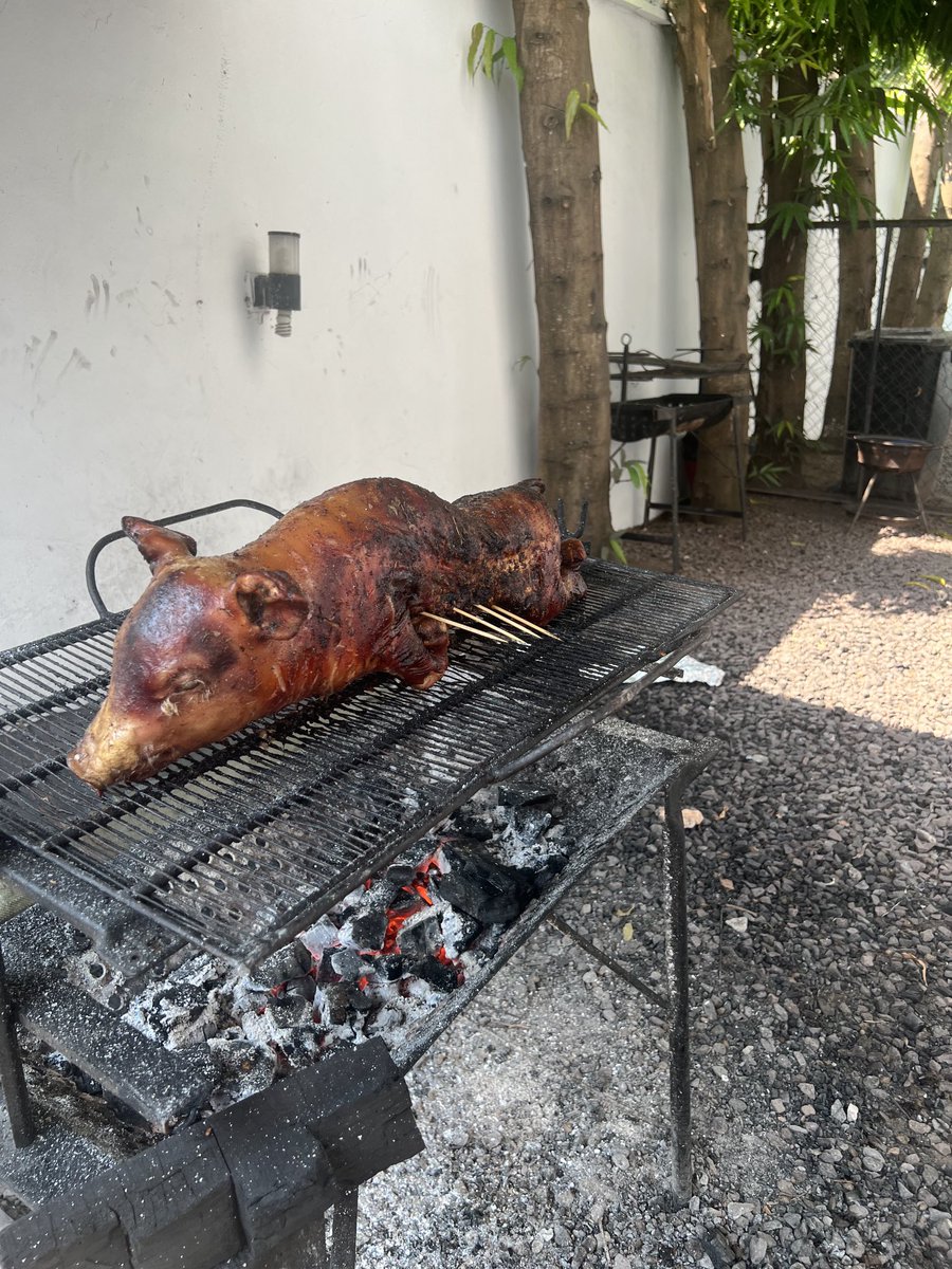 gueda18's tweet photo. Aujourd’hui barbecue de mon porcelet 🐷….Non je ne fête rien …Juste reconnaissante à Dieu,RDC j’adore notre pays…,ici tous sorciers vampires du pays se sont reconvertis ils n’ont plus peur à la lumière du soleil ☀️,ils opèrent de jour 😂😂,bon les enfants de Dieu sont épargnés https://t.co/AdD0EfAmT0