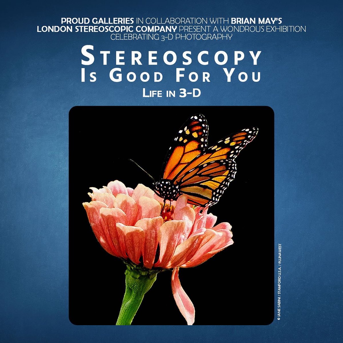 Proud Galleries tweet media