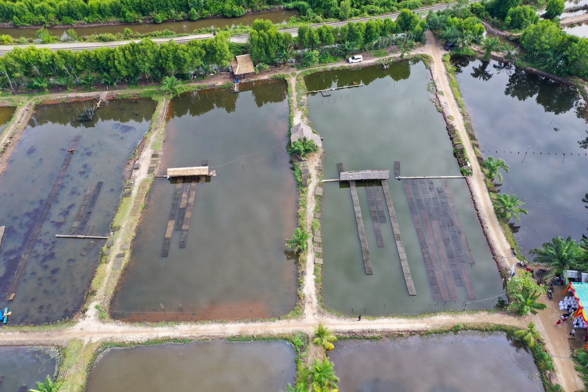 #SobatBahari, Kepala #BRSDM <a href="/in_radiarta/">INRadiarta</a> didampingi Kepala @puslatluhkp , dan Kepala @bpppmedan_brsdm tinjau lokasi Kolam Percontohan Budidaya Kepiting Soka, di Pokdakan Mentari Asoka Abadi, Kabupaten Langkat, Provinsi Sumatra Utara, (4/10) #KKPAccelerate #SDMKP <a href="/kkpgoid/">KKP RI</a>