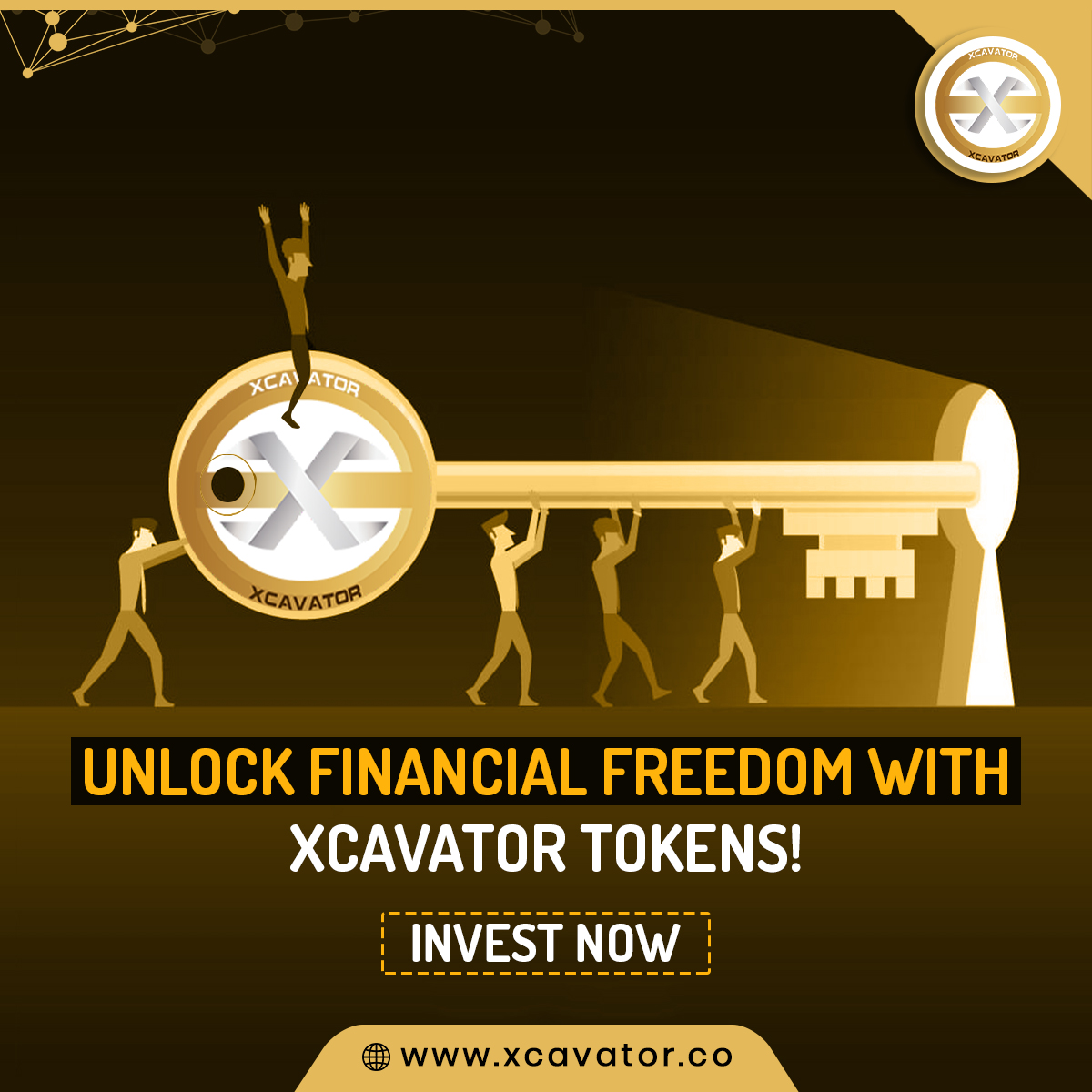 Xcavator International tweet media