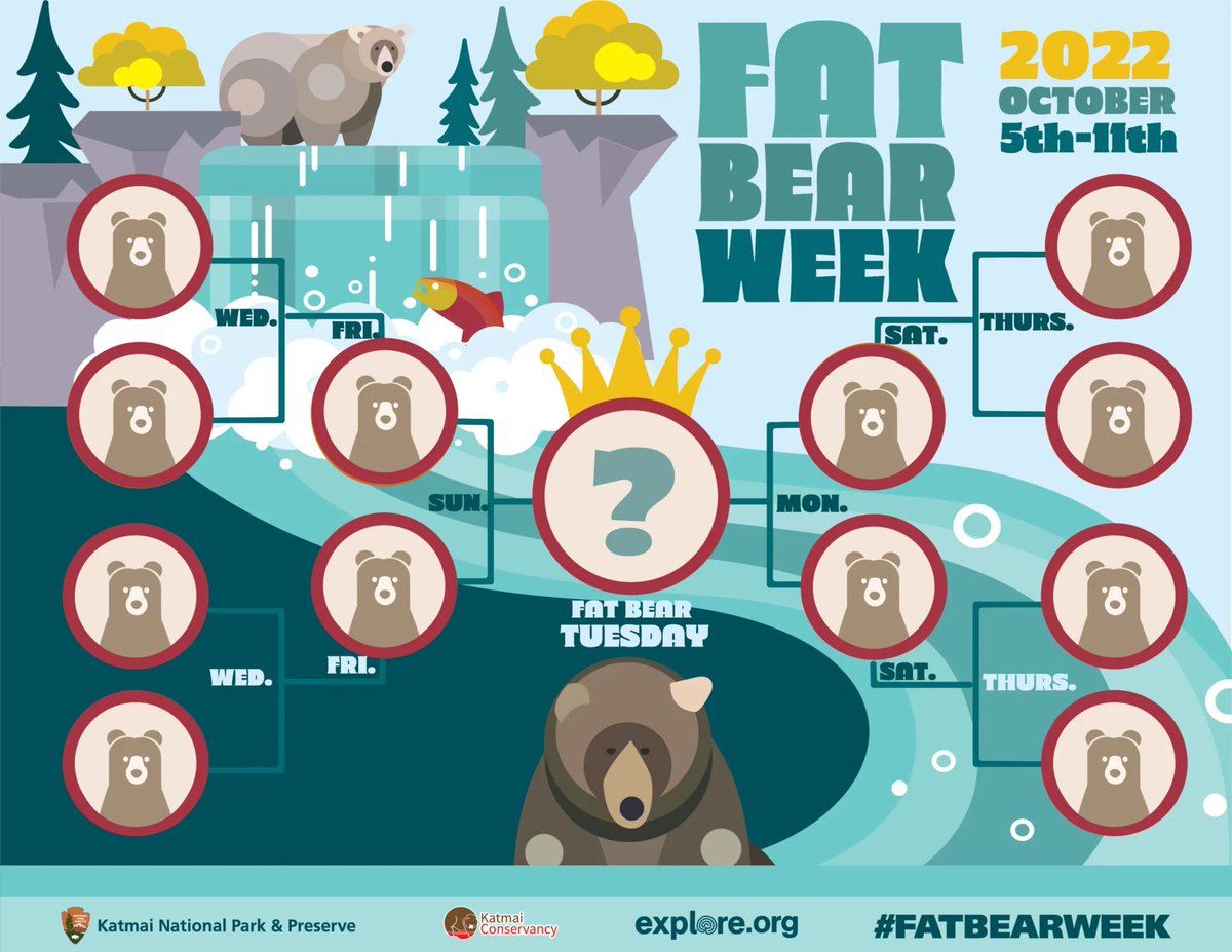 It's #FatBearWeek, the March Madness for bears getting ready for hibernation. Get involved by voting daily for your favorite bear. Bring fat bears into your classroom for a lesson on why biodiversity matters and how ecosystems are interconnected.  buff.ly/3QYvFiQ