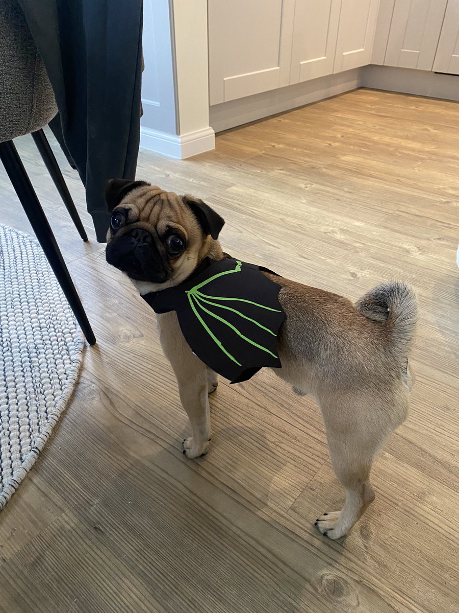 Allie Svarc tweet media