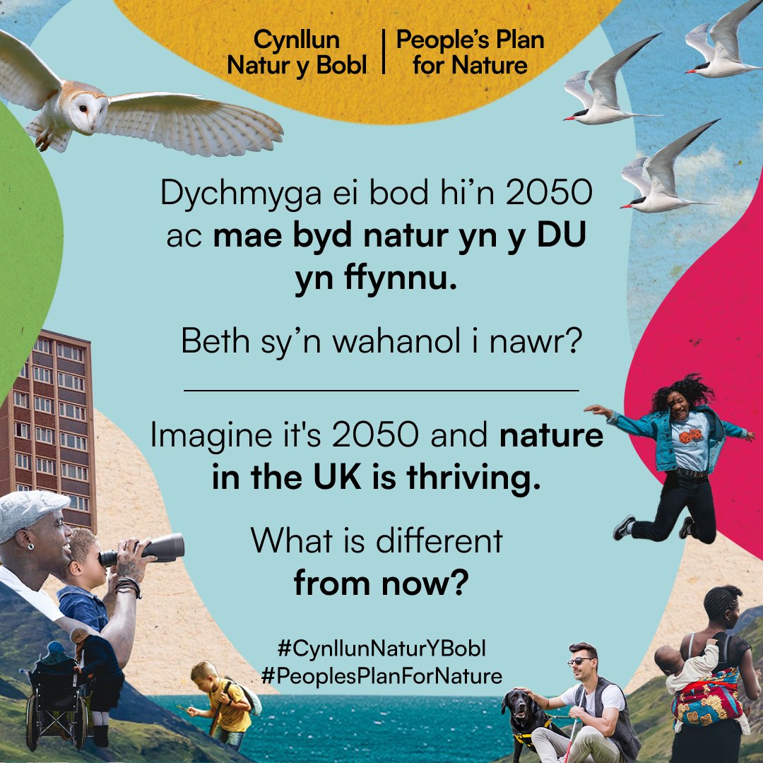 Beth wyt ti’n ei garu am fyd natur yn y DU? Beth fyddet ti’n ei golli pe bai’n diflannu? 🐦🪲🌿 Ymuna â sgwrs fwyaf y DU am ddyfodol byd natur heddiw: bit.ly/PPNatureT #CynllunNaturyBobl