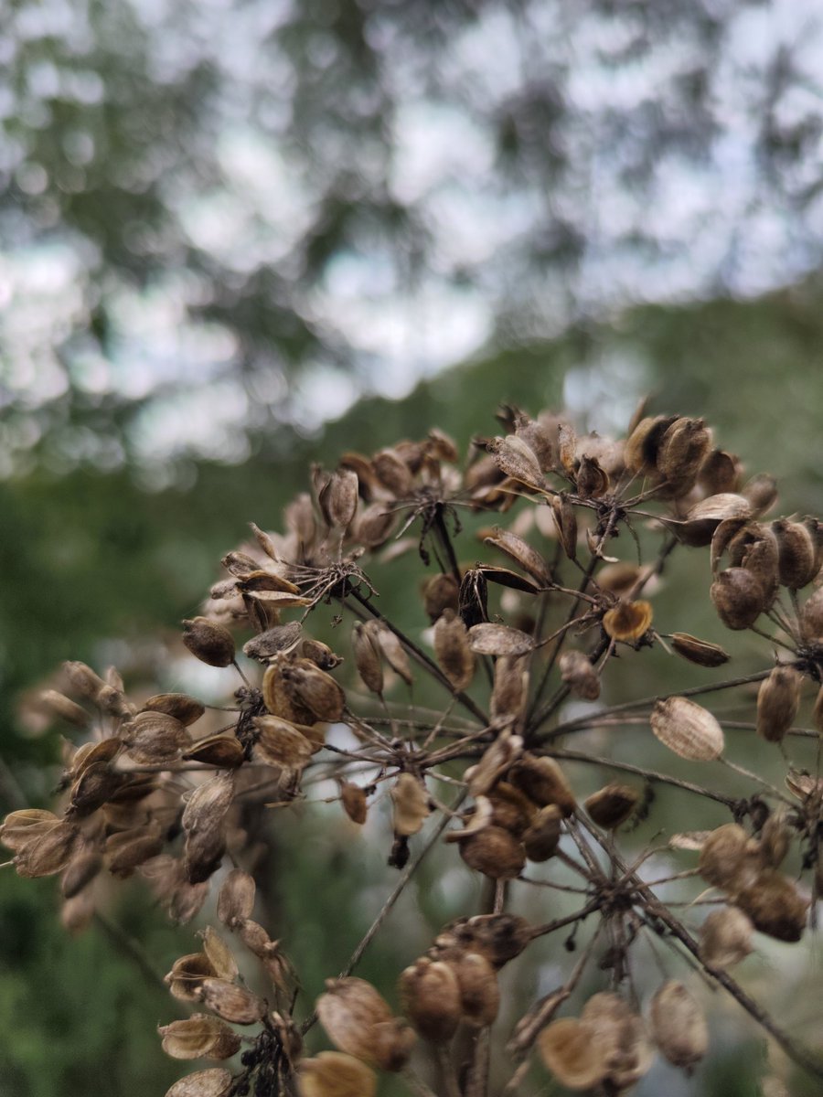 Taken on the Xiaomi 12T Pro!
New video testing it!
youtu.be/_NX0fBM7-Pk