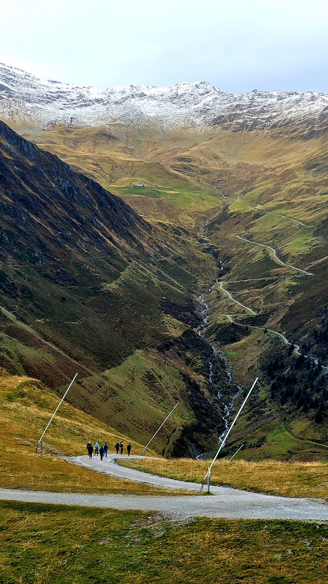 Sophia Roediger tweet media